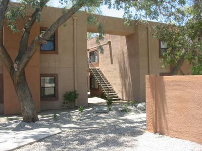 LAKE POINT Condos