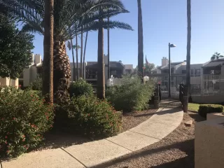 Photo #1: 5996413 Listing