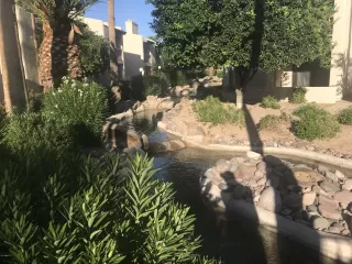 Photo #3: 5996413 Listing