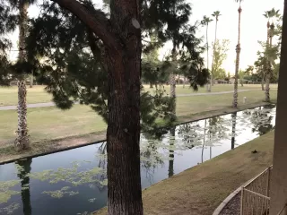 Photo #4: 5996539 Listing