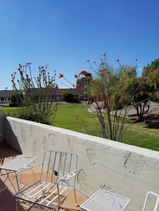 Photo #5: 6003451 Listing