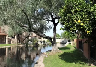 Photo #1: 6005913 Listing