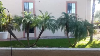 Photo #5: 6015939 Listing 