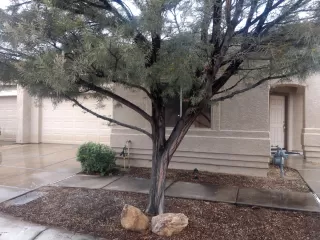 Photo #2: 6017541 Listing