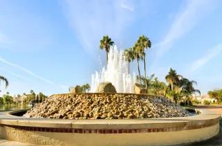 Photo #1: 6032746 Listing