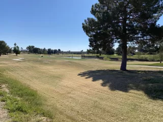 Photo #6: 6034996 Listing 