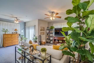 Photo #5: 6048416 Listing