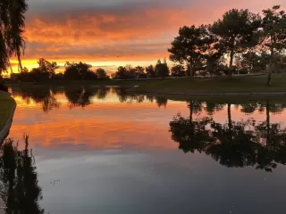 Photo #6: 6053467 Listing