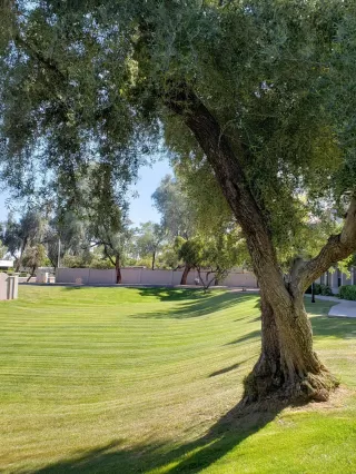 Photo #2: 6060179 Listing