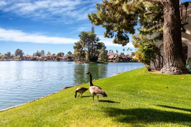 MLS: 6063010 Condo For Sale