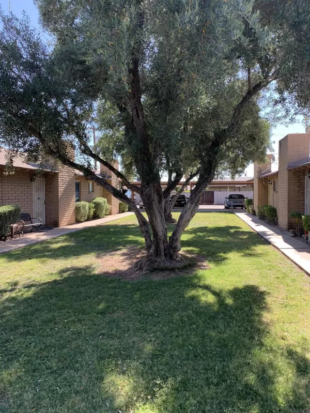 MLS: 6072122 Condo For Sale