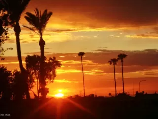 Photo #1: 6073382 Listing 