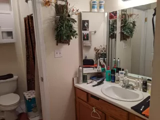 Photo #2: 6074075 Listing 