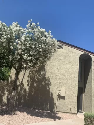 Photo #1: 6075086 Listing 