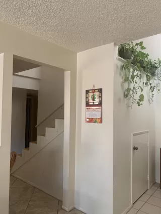 Photo #6: 6075086 Listing 