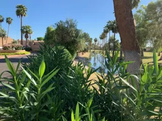 Photo #1: 6075749 Listing