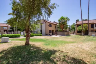 Photo #1: 6077262 Listing