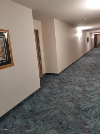 Photo #2: 6079367 Listing 