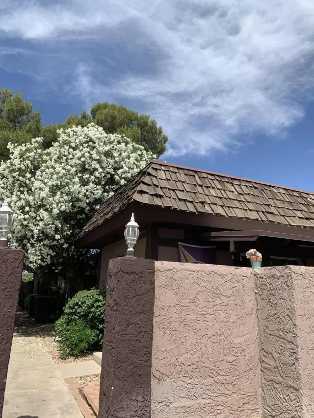 MLS: 6081393 Condo For Sale