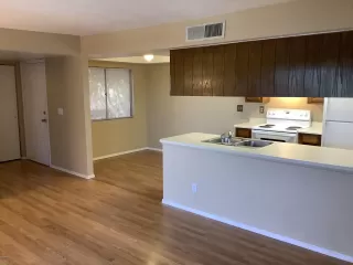 Photo #1: 6082994 Listing