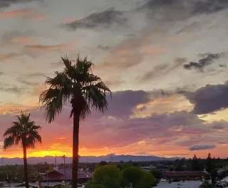 Photo #1: 6086177 Listing 