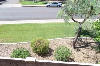 Photo #4: 6087695 Listing