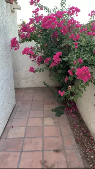 Photo #3: 6092644 Listing