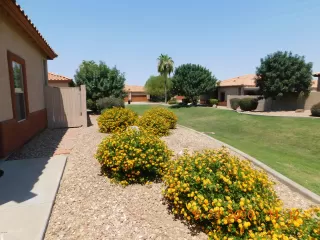 Photo #4: 6095389 Listing 