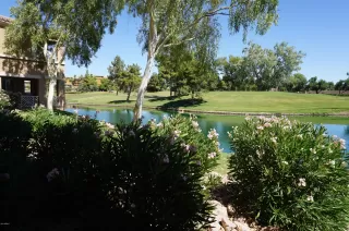 Photo #3: 6097998 Listing 