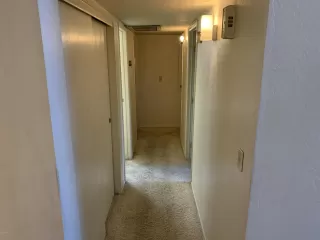 Photo #5: 6109448 Listing