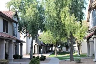 Photo #4: 6113199 Listing