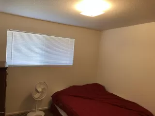 Photo #5: 6126547 Listing 