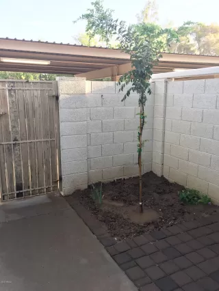 Photo #2: 6128691 Listing 