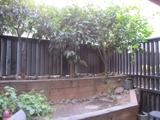 Photo #3: 6130138 Listing 