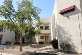 Photo #5: 6133940 Listing