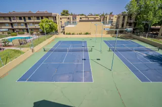 Photo #1: 6134765 Listing 