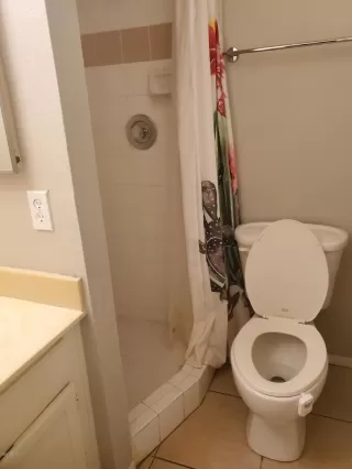 Photo #5: 6137014 Listing 