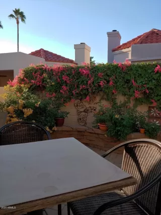 Photo #1: 6138167 Listing