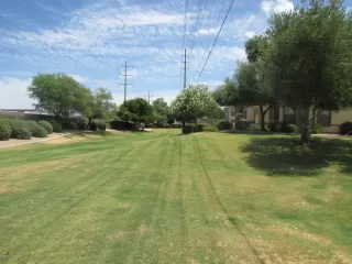 Photo #6: 6142245 Listing