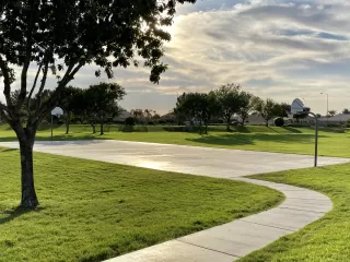 Photo #5: 6142385 Listing 