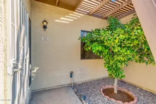 Photo #4: 6146150 Listing