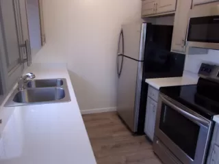 Photo #5: 6147186 Listing