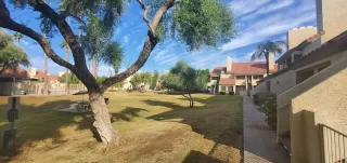 Photo #1: 6149543 Listing