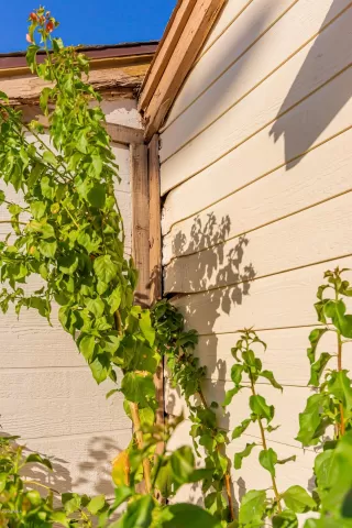 Photo #1: 6151156 Listing