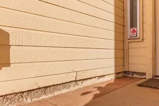 Photo #3: 6151156 Listing