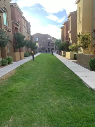 Photo #2: 6151497 Listing 