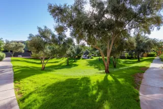 Photo #3: 6152703 Listing