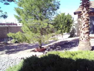 Photo #2: 6153130 Listing