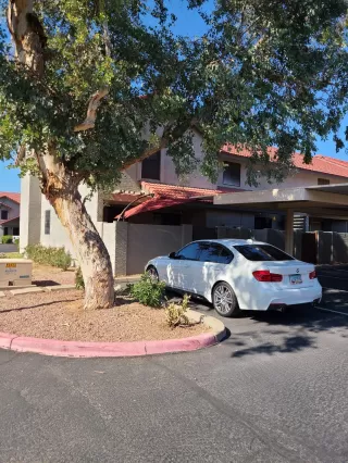 Photo #4: 6156055 Listing 