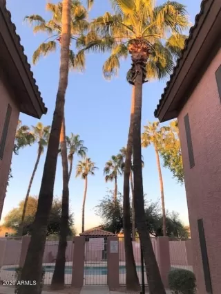 Photo #4: 6157261 Listing 